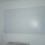 Διαμέρισμα Gruener Blick *