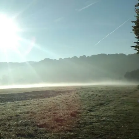 Grüner Blick