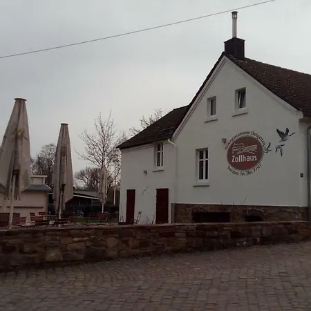 Grüner Blick