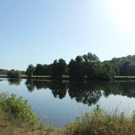 Gruener Blick
