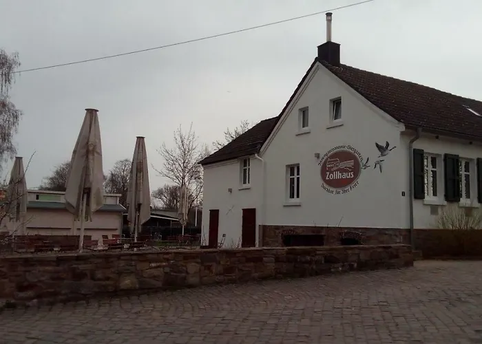 Gruener Blick